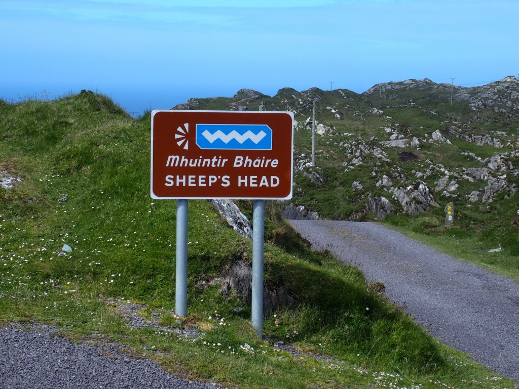 Sheeps Head